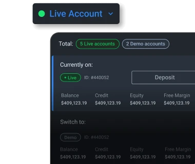 Multiple trading accounts